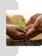 nurturing-skills-mobile